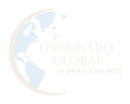 Encontro Global